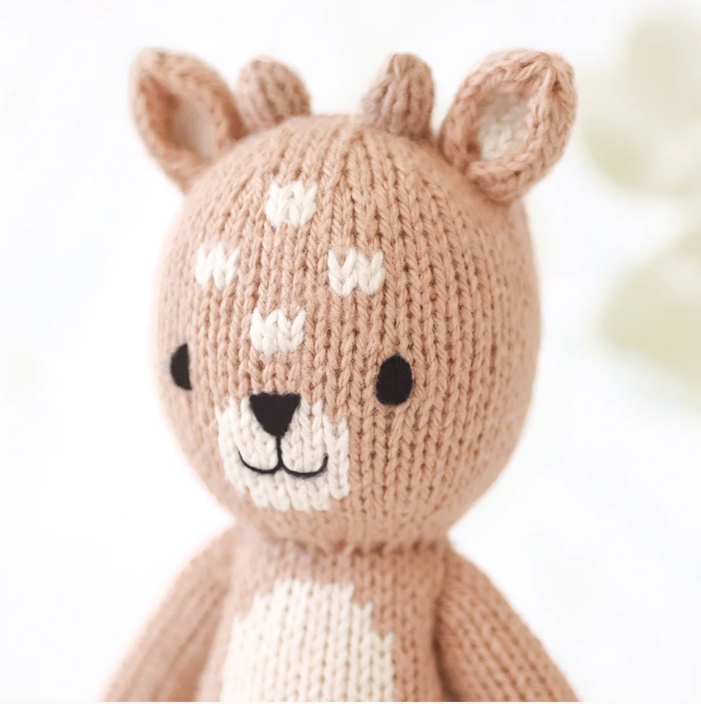 Tiny Elliott the fawn