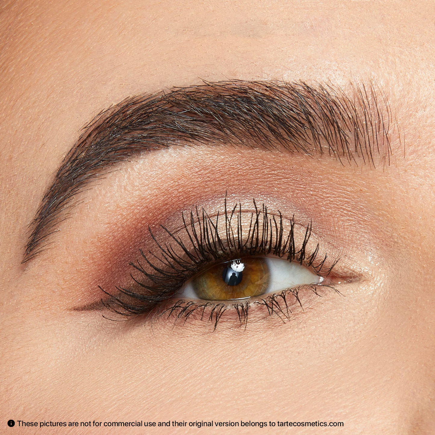Full bloom Amazonian clay palette