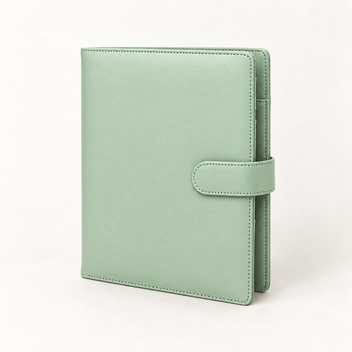 Mint A4 ring binder