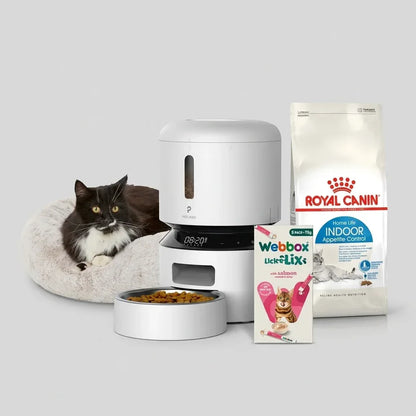 "4-in-1 Cat Care Bundle"