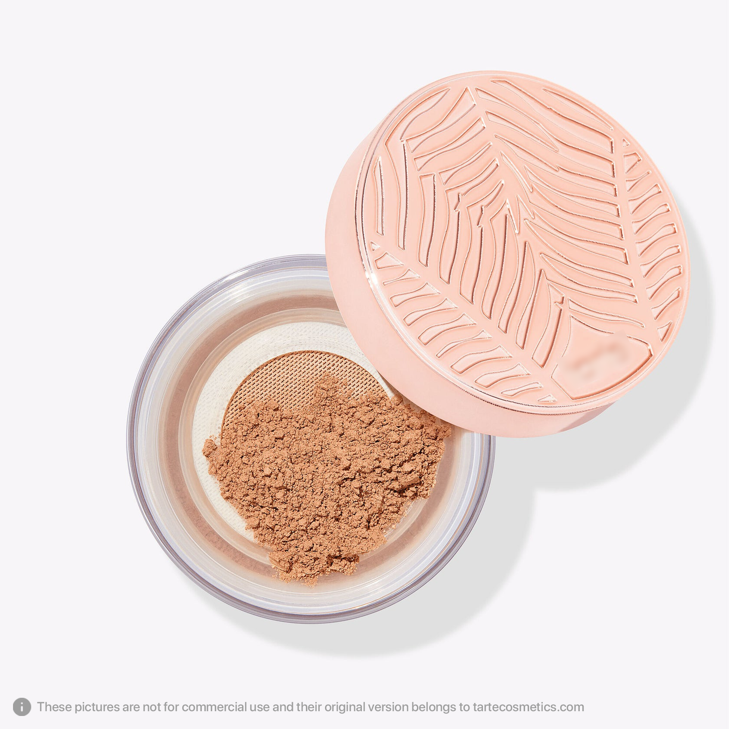 Amazonian clay gem powder foundation